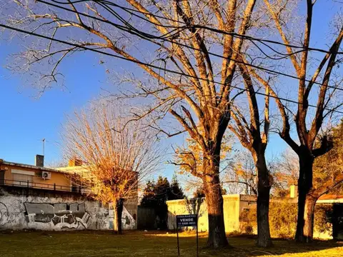 Terreno en Venta 11  mts Frente