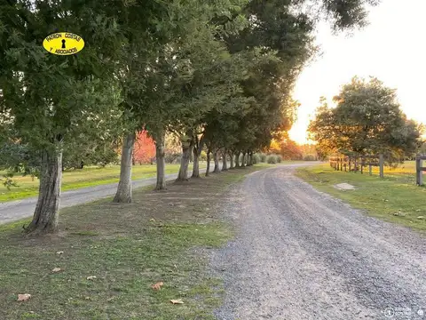 Terreno en Venta de 10000,0 m2