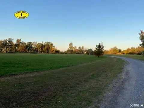 Ruta Provincial 0