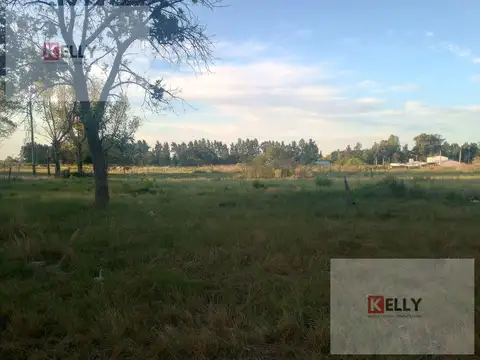 Terreno en Venta 32  mts Fondo