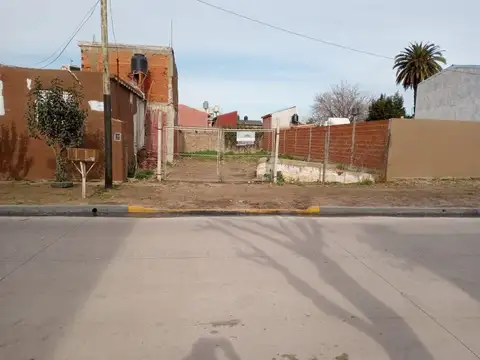Baroni 100