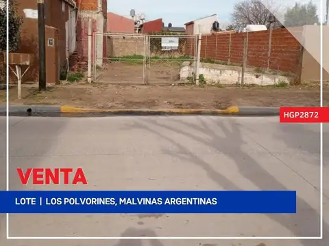 Lote | Baroni al 100