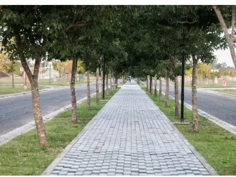 Terreno en Venta 14  mts Frente