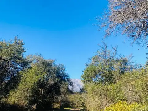 barranca de los loros
