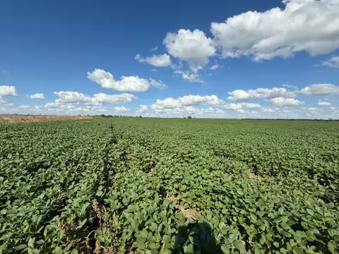 Campo a la venta en Esther departamento San Justo