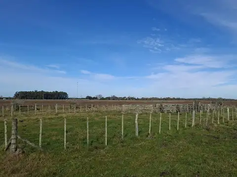 Campo en Alquiler en General Lavalle, Partido de General Lavalle