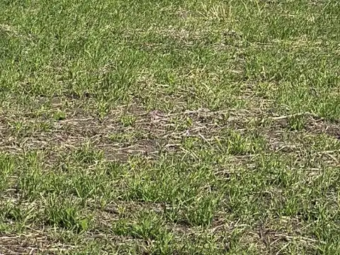 Campo en Venta de 149  ha