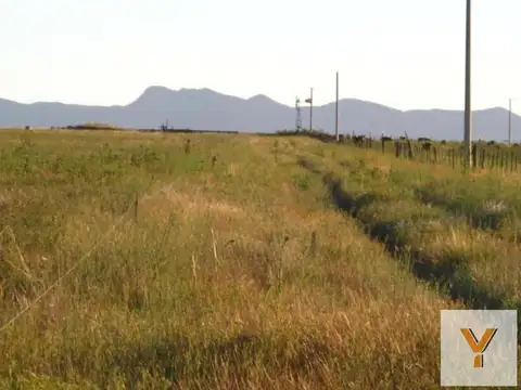 Campo en venta - 5.300.000Mts2 - Arroyo Corto