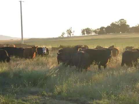 Campo en venta - 5.300.000Mts2 - Arroyo Corto