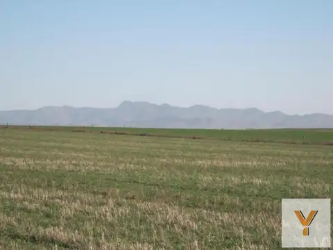 Camino Cura Malal