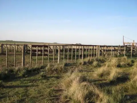 Camino Cura Malal