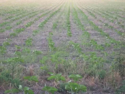 Campo en venta - 5.300.000Mts2 - Arroyo Corto