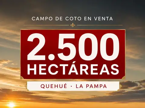 Campo - Quehue