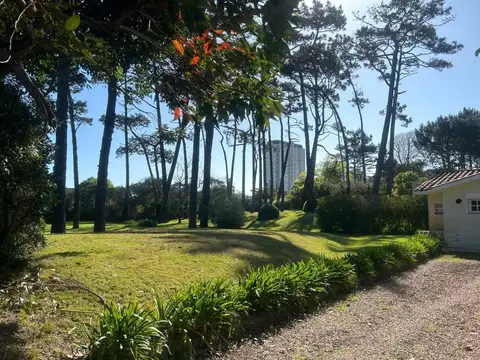 Avenida 100