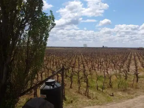 Ruta 50  Metros Acceso Este