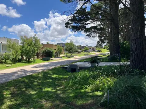 Terreno en Venta de 933,0 m2