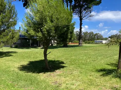 Terreno en Venta 41  mts Fondo