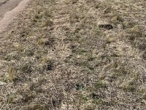 Terreno en Venta de 1000,0 m2