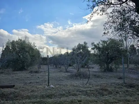Roque Sáenz Peña 3100