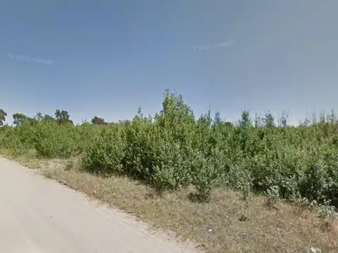 Terreno en venta - 7.800Mts2 - Ostende