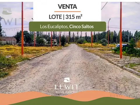 VENTA TERRENO 315m² EN CINCO SALTOS Bº LOS EUCALIPTOS