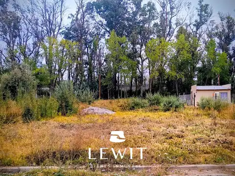 Terreno en Venta en Cinco Saltos, USD 12.500