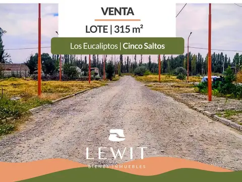 VENTA TERRENO 315m² EN CINCO SALTOS Bº LOS EUCALIPTOS
