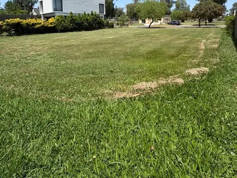 Terreno en venta en santa Emilia