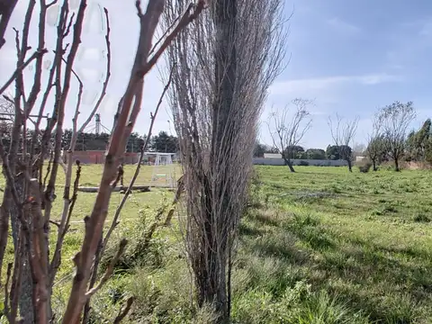 Terreno en Venta de 1285,0 m2