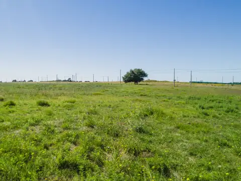 Terreno en Venta 12  mts Fondo