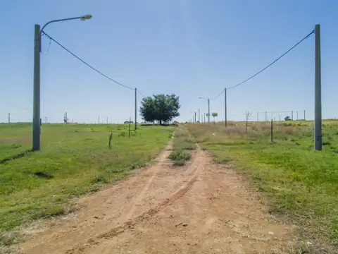 las acacias punta