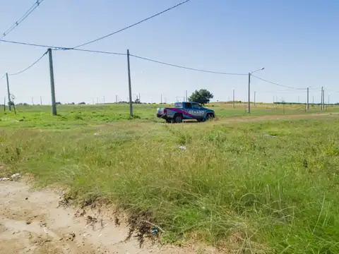 las acacias punta