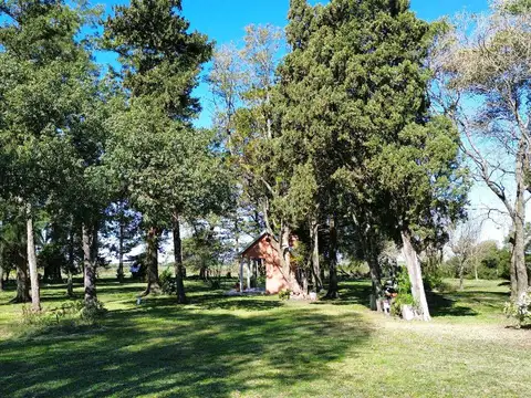 Campo en Venta de 1  ha