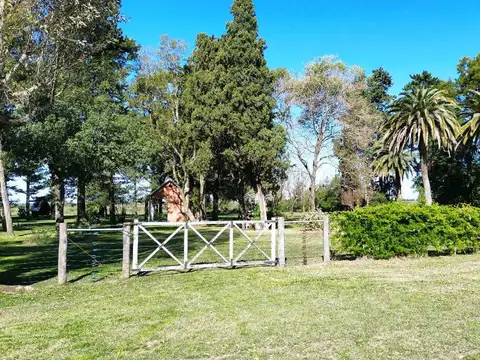 Campo en Venta de 1  ha