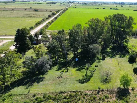 Campo en Venta de 1  ha