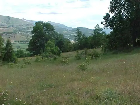 Terreno / Lote en venta de 34ha ubicado en San Martin de los Andes