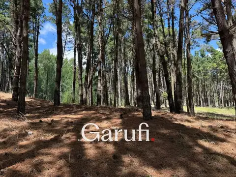 Terrenos en Venta en Villa Robles