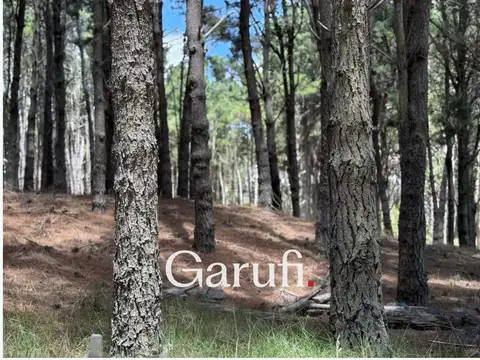 Terreno en Venta 47  mts Fondo