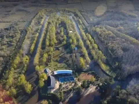 palmares del delta 100