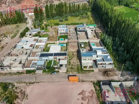 La Consuelo, Centenario