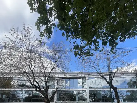 Oficina en alquiler en Plaza Rocha