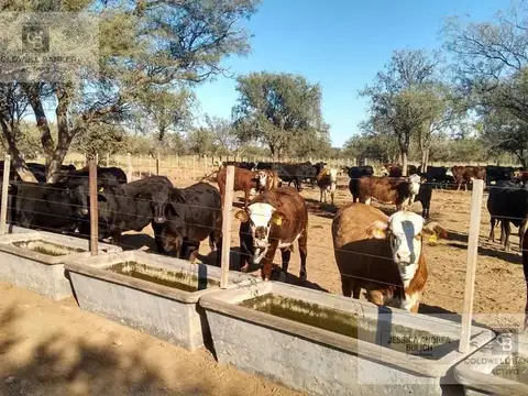 Venta Campo en Lucio V Mansilla