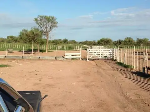 Venta Campo en Lucio V Mansilla