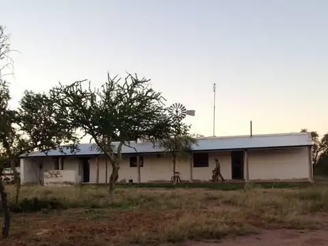 VENTA CAMPO GANADERO RUTA PROVINCIAL 22 A 40KM DE SAN FRANCISCO DEL CHAÑAR
