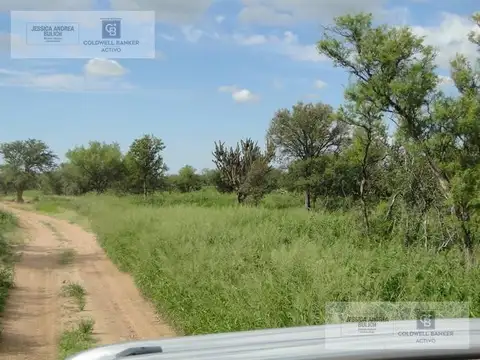 CAMPO GANADERO RUTA PROVINCIAL 22 AL 40KM DE SAN FRANCISCO DEL CHAÑAR