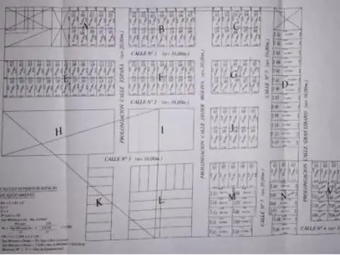 Gran libano y Rivadavia