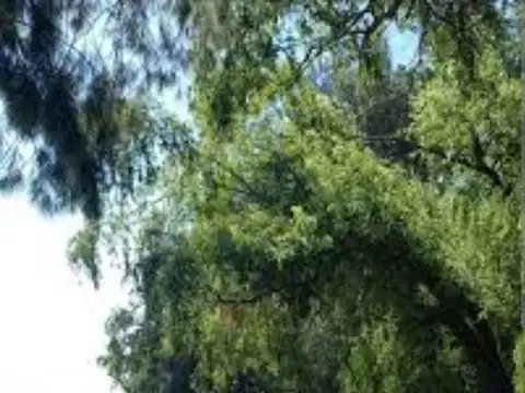 Terreno en Venta en Dique Lujan, USD 80.000
