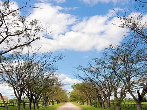Terreno en Venta de 25000,0 m2