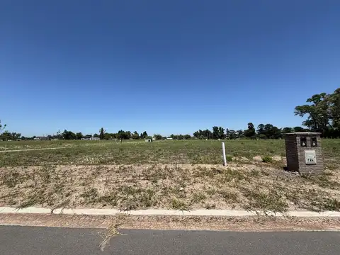 Terreno en Venta 25  mts Fondo