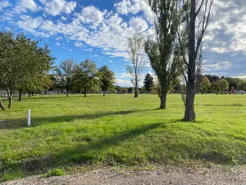 Terreno en Venta de 1010,0 m2